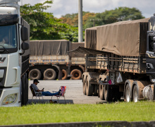 Porto de Paranaguá recebe o maior volume de caminhões da história no Pátio de Triagem