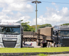 Porto de Paranaguá recebe o maior volume de caminhões da história no Pátio de Triagem
