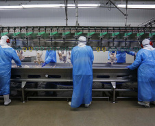 Paraná encaminha à Alep projeto de parcelamento de dívidas de cooperativas