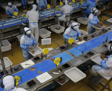 Paraná encaminha à Alep projeto de parcelamento de dívidas de cooperativas