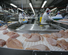 Com crescimento de 20,8%, Paraná exporta US$ 1,56 bilhão de carnes in natura em 2025