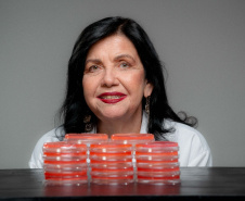 A engenheira agrônoma e pesquisadora do Novo Arranjo de Pesquisa e Inovação (NAPI) Taxonline, da Fundação Araucária, Mariangela Hungria, foi agraciada nesta terça-feira (12) com o Prêmio Mundial da Alimentação de 2025, o World Food Prize