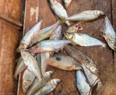 IAT - Operação de fiscalização contra a pesca predatória no Oeste e Noroeste do Paraná terminou com a aplicação de R$ 4 mil em multas e o recolhimento de materiais proibidos