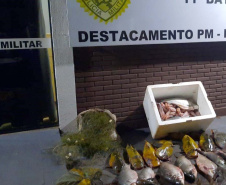 Ação do Instituto Água e Terra em conjunto com o Batalhão da Polícia Ambiental Força-Verde identificou dois indivíduos praticando a pesca predatória no Rio Ivaí, em Engenheiro Beltrão.