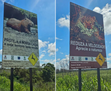 Placas do Parque Nacional Ilha Grande