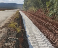 Ponta Grossa a Palmeira