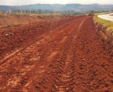 Ponta Grossa a Palmeira