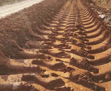 Ponta Grossa a Palmeira