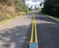 Copel alerta para riscos de acidentes com a rede elétrica na colheita do pinhão