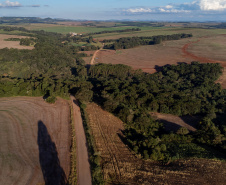 GOVERNADOR - PR-239 entre Mato Rico e Roncador