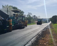 Copel alerta para riscos de acidentes com a rede elétrica na colheita do pinhão