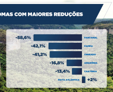 Com queda de 64,9%, Paraná teve a 3ª maior redução de desmatamento do Brasil em 2024