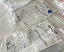 Estudantes de Itaperuçu e Tunas do Paraná são os primeiros a receber óculos do Programa Bons Olhos