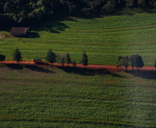 FOMENTO PARANÁ BANCO AGRICULTOR PARANAENSE