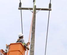 Paraná Trifásico leva rede elétrica mais potente e estável à agroindústria cada vez mais moderna e inovadora 