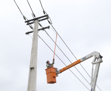 Paraná Trifásico leva rede elétrica mais potente e estável à agroindústria cada vez mais moderna e inovadora 