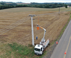 Paraná Trifásico leva rede elétrica mais potente e estável à agroindústria cada vez mais moderna e inovadora 