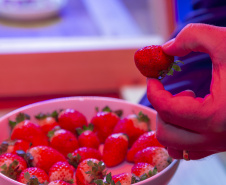 TECPAR - pesquisa propõe soluções sustentáveis para a agricultura e conservação de alimentos