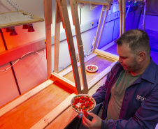 TECPAR - pesquisa propõe soluções sustentáveis para a agricultura e conservação de alimentos