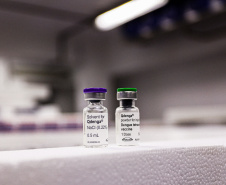 SESA -  Vacina da dengue é ampliada para mais 102 municípios do Paraná e recebe novas doses para distribuição 