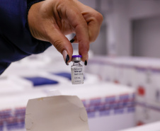 SESA -  Vacina da dengue é ampliada para mais 102 municípios do Paraná e recebe novas doses para distribuição 