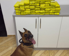 SESP POLICIAMENTO ESTRADAS FERIADO