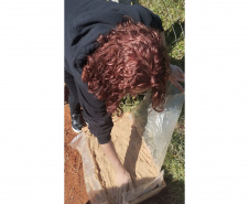 Educação ambiental: estudantes de colégio estadual em Arapoti transformam lixo orgânico em adubo para horta