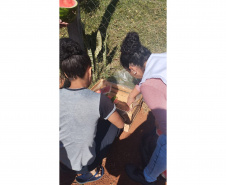 Educação ambiental: estudantes de colégio estadual em Arapoti transformam lixo orgânico em adubo para horta