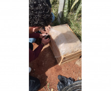 Educação ambiental: estudantes de colégio estadual em Arapoti transformam lixo orgânico em adubo para horta