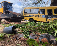 operação contra o greening  em Cornélio Procópio e Londrina.