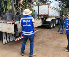 operação contra o greening  em Cornélio Procópio e Londrina.