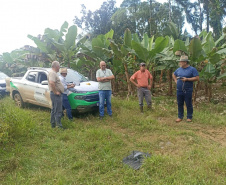 ADAPAR - matéria bananicultura com uso de drones no Litoral