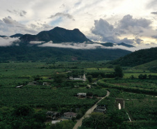 ADAPAR - matéria bananicultura com uso de drones no Litoral