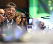 O governador Carlos Massa Ratinho Junior em reunião com delegação da União Europeia.