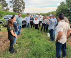 Fiscais catarinenses e gaúchos conhecem experiência do Paraná no combate ao greening