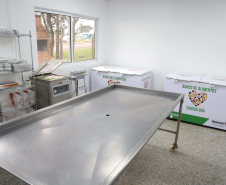 cascavel