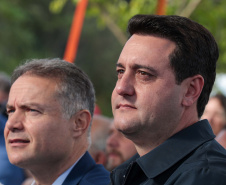 GOVERNADOR