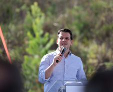 GOVERNADOR