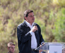GOVERNADOR