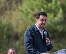 GOVERNADOR