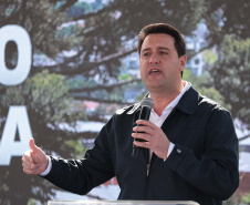 GOVERNADOR