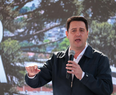 GOVERNADOR