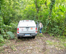 COPEL - Florestas protegidas pela Copel abrigam espécies vulneráveis da flora nativa