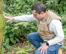 COPEL - Florestas protegidas pela Copel abrigam espécies vulneráveis da flora nativa