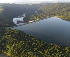 COPEL - Florestas protegidas pela Copel abrigam espécies vulneráveis da flora nativa