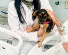 Com foco na humanização da saúde, hospitais do Estado desenvolvem projetos para diferentes públicos  