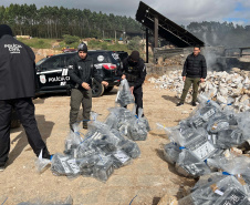  PCPR incinera maior carga de cocaína já apreendida em Curitiba 