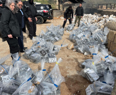  PCPR incinera maior carga de cocaína já apreendida em Curitiba 