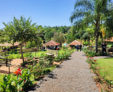 Parques Paraná: trilhas, grutas, montanhas, cachoeiras e muito verde para quem quer curtir o feriado perto da natureza.