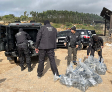  PCPR incinera maior carga de cocaína já apreendida em Curitiba 